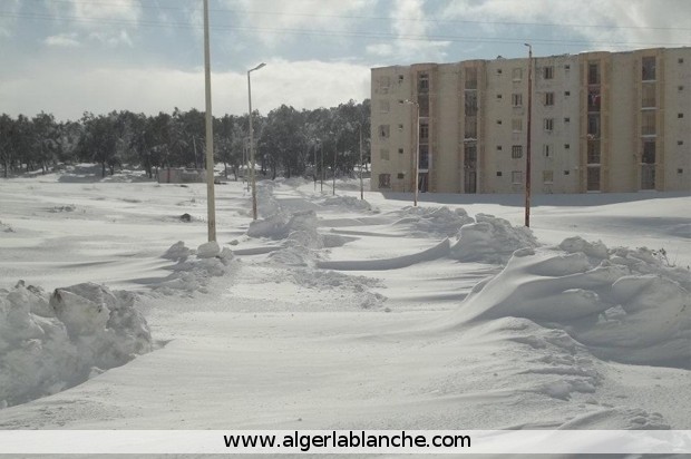 rencontre algerie annonce