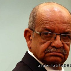 messahel.jpg