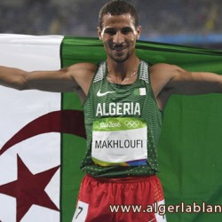 taoufik_makhloufi_critique.jpg